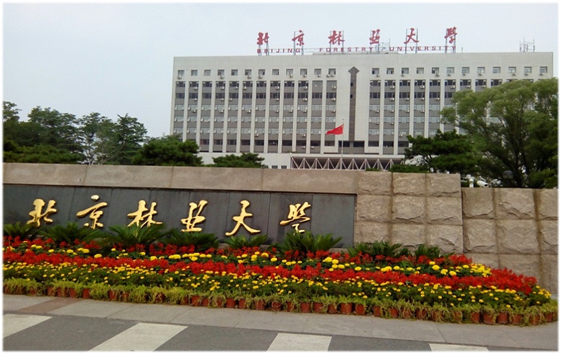 北京林業(yè)大學